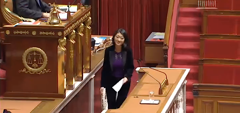 Fleur Pellerin, ministre de la Culture et de la Communication devant l'Assemblée nationale le 17 décembre 2014