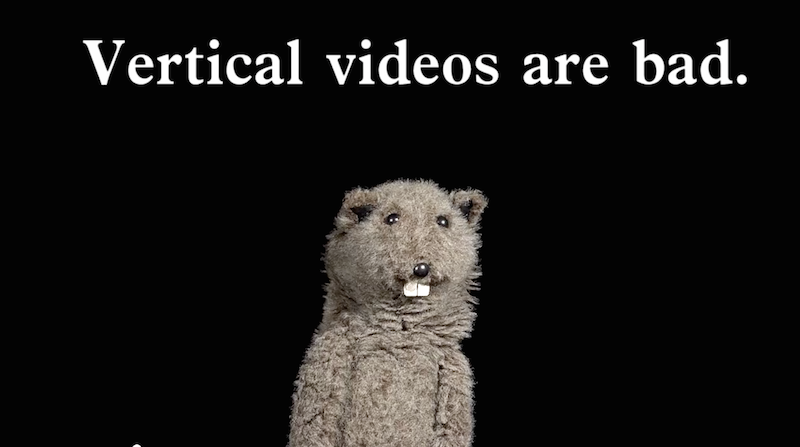 Extrait de la vidéo Vertical Video Syndrom